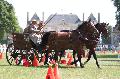 Photo n 27414&#10;La tradition au Haras du Pin. 2013 &#10;Philippe LAMERANT, France , Break Demi-Tonneau
Photo Nadine TOUDIC&#10;Affiche 387 fois, 0 vote&#10;Ajoute le 17/07/2013 17:38:48 par Nadinetoudic&#10;&#10;--> Cliquer pour agrandir <--