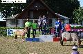 Photo n 28368&#10;Championnat de France d'endurance en attelage&#10;&#10;Affiche 73 fois&#10;Ajoute le 03/09/2013 07:49:30 par Stephs3a&#10;&#10;--> Cliquer pour agrandir <--