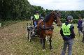 Photo n 28375&#10;Corlay CdF d'endurance attelage - photo Stephs3A&#10;&#10;Affiche 49 fois&#10;Ajoute le 04/09/2013 19:04:16 par JeanClaudeGrognet&#10;&#10;--> Cliquer pour agrandir <--