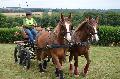 Photo n 28377&#10;Corlay CdF d'endurance attelage - photo Stephs3A&#10;&#10;Affiche 69 fois&#10;Ajoute le 04/09/2013 19:04:17 par JeanClaudeGrognet&#10;&#10;--> Cliquer pour agrandir <--