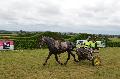 Photo n° 28385
Corlay CdF d'endurance attelage - photo Stephs3A

Affichée 45 fois
Ajoutée le 04/09/2013 19:04:17 par JeanClaudeGrognet

--> Cliquer pour agrandir <--