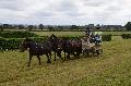 Photo n 28390&#10;Corlay CdF d'endurance attelage - photo Stephs3A&#10;&#10;Affiche 69 fois&#10;Ajoute le 04/09/2013 19:04:18 par JeanClaudeGrognet&#10;&#10;--> Cliquer pour agrandir <--