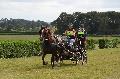 Photo n 28392&#10;Corlay CdF d'endurance attelage - photo Stephs3A&#10;&#10;Affiche 61 fois&#10;Ajoute le 04/09/2013 19:04:18 par JeanClaudeGrognet&#10;&#10;--> Cliquer pour agrandir <--