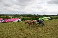 Photo n 28395&#10;Corlay CdF d'endurance attelage - photo Stephs3A&#10;&#10;Affiche 56 fois&#10;Ajoute le 04/09/2013 19:04:18 par JeanClaudeGrognet&#10;&#10;--> Cliquer pour agrandir <--