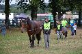 Photo n 28396&#10;Corlay CdF d'endurance attelage - photo Stephs3A&#10;&#10;Affiche 65 fois&#10;Ajoute le 04/09/2013 19:04:18 par JeanClaudeGrognet&#10;&#10;--> Cliquer pour agrandir <--