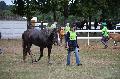 Photo n 28397&#10;Corlay CdF d'endurance attelage - photo Stephs3A&#10;&#10;Affiche 69 fois&#10;Ajoute le 04/09/2013 19:04:18 par JeanClaudeGrognet&#10;&#10;--> Cliquer pour agrandir <--