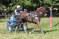 Photo n 28625&#10;Blangy sur Bresle 2013&#10;Andr VASSEUR
Photo Nadine TOUDIC&#10;Affiche 21 fois&#10;Ajoute le 10/09/2013 17:53:43 par Nadinetoudic&#10;&#10;--> Cliquer pour agrandir <--