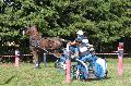 Photo n 28626&#10;Blangy sur Bresle 2013&#10;Andr VASSEUR
Photo Nadine TOUDIC&#10;Affiche 19 fois&#10;Ajoute le 10/09/2013 17:53:44 par Nadinetoudic&#10;&#10;--> Cliquer pour agrandir <--