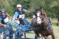 Photo n 28630&#10;Blangy sur Bresle 2013&#10;Andr VASSEUR
Photo Nadine TOUDIC&#10;Affiche 76 fois&#10;Ajoute le 10/09/2013 17:53:44 par Nadinetoudic&#10;&#10;--> Cliquer pour agrandir <--