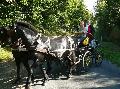 Photo n 28670&#10;Randonne de Caumont -photo Sylvie Bonhomme&#10;&#10;Affiche 83 fois&#10;Ajoute le 11/09/2013 12:17:17 par JeanClaudeGrognet&#10;&#10;--> Cliquer pour agrandir <--