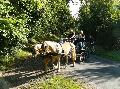 Photo n 28671&#10;Randonne de Caumont -photo Sylvie Bonhomme&#10;&#10;Affiche 51 fois&#10;Ajoute le 11/09/2013 12:17:17 par JeanClaudeGrognet&#10;&#10;--> Cliquer pour agrandir <--