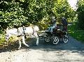 Photo n 28673&#10;Randonne de Caumont -photo Sylvie Bonhomme&#10;&#10;Affiche 77 fois&#10;Ajoute le 11/09/2013 12:17:18 par JeanClaudeGrognet&#10;&#10;--> Cliquer pour agrandir <--