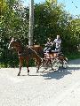 Photo n 28676&#10;Randonne de Caumont -photo Sylvie Bonhomme&#10;&#10;Affiche 87 fois&#10;Ajoute le 11/09/2013 12:17:18 par JeanClaudeGrognet&#10;&#10;--> Cliquer pour agrandir <--