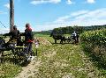 Photo n 28678&#10;Randonne de Caumont -photo Sylvie Bonhomme&#10;&#10;Affiche 65 fois&#10;Ajoute le 11/09/2013 12:17:18 par JeanClaudeGrognet&#10;&#10;--> Cliquer pour agrandir <--