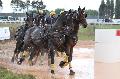 Photo n 29262&#10;Championnat de France 2013 - Lisieux&#10;Fabrice MARTIN
Photo Nadine TOUDIC&#10;Affiche 39 fois&#10;Ajoute le 15/10/2013 17:49:03 par Nadinetoudic&#10;&#10;--> Cliquer pour agrandir <--