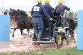 Photo n 29263&#10;Championnat de France 2013 - Lisieux&#10;Fabrice MARTIN
Photo Nadine TOUDIC&#10;Affiche 32 fois&#10;Ajoute le 15/10/2013 17:49:03 par Nadinetoudic&#10;&#10;--> Cliquer pour agrandir <--
