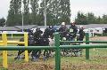 Photo n 29270&#10;Lisieux Cde  photo Emilie Lelard&#10;Gilles Moussu&#10;Affiche 53 fois&#10;Ajoute le 16/10/2013 08:17:53 par JeanClaudeGrognet&#10;&#10;--> Cliquer pour agrandir <--