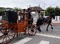 Photo n 29300&#10;CIAT Deauville 2013&#10;&#10;Affiche 32 fois&#10;Ajoute le 17/10/2013 10:16:57 par Renata&#10;&#10;--> Cliquer pour agrandir <--