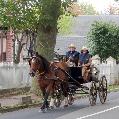 Photo n 29305&#10;CIAT Deauville 2013&#10;&#10;Affiche 25 fois&#10;Ajoute le 17/10/2013 10:16:57 par Renata&#10;&#10;--> Cliquer pour agrandir <--