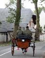 Photo n 29306&#10;CIAT Deauville 2013&#10;&#10;Affiche 14 fois&#10;Ajoute le 17/10/2013 10:16:57 par Renata&#10;&#10;--> Cliquer pour agrandir <--