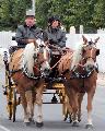 Photo n 29307&#10;CIAT Deauville 2013&#10;&#10;Affiche 35 fois&#10;Ajoute le 17/10/2013 10:16:58 par Renata&#10;&#10;--> Cliquer pour agrandir <--