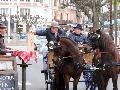 Photo n 29315&#10;CIAT Deauville 2013&#10;&#10;Affiche 12 fois&#10;Ajoute le 17/10/2013 10:16:58 par Renata&#10;&#10;--> Cliquer pour agrandir <--