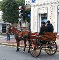 Photo n 29319&#10;CIAT Deauville 2013&#10;&#10;Affiche 31 fois&#10;Ajoute le 17/10/2013 10:16:59 par Renata&#10;&#10;--> Cliquer pour agrandir <--