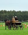 Photo n 29320&#10;CIAT Deauville 2013&#10;&#10;Affiche 16 fois&#10;Ajoute le 17/10/2013 10:16:59 par Renata&#10;&#10;--> Cliquer pour agrandir <--