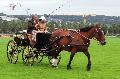 Photo n 29321&#10;CIAT Deauville 2013&#10;&#10;Affiche 19 fois&#10;Ajoute le 17/10/2013 10:16:59 par Renata&#10;&#10;--> Cliquer pour agrandir <--