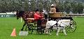 Photo n 29322&#10;CIAT Deauville 2013&#10;&#10;Affiche 26 fois&#10;Ajoute le 17/10/2013 10:16:59 par Renata&#10;&#10;--> Cliquer pour agrandir <--
