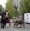 Photo n 29328&#10;CIAT Deauville 2013&#10;&#10;Affiche 32 fois&#10;Ajoute le 17/10/2013 10:17:00 par Renata&#10;&#10;--> Cliquer pour agrandir <--