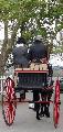Photo n 29329&#10;CIAT Deauville 2013&#10;&#10;Affiche 29 fois&#10;Ajoute le 17/10/2013 10:17:00 par Renata&#10;&#10;--> Cliquer pour agrandir <--