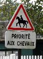 Photo n 29344&#10;CIAT Deauville 2013&#10;&#10;Affiche 27 fois&#10;Ajoute le 17/10/2013 10:17:01 par Renata&#10;&#10;--> Cliquer pour agrandir <--