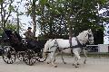 Photo n 29345&#10;CIAT Deauville 2013&#10;&#10;Affiche 48 fois&#10;Ajoute le 17/10/2013 10:17:01 par Renata&#10;&#10;--> Cliquer pour agrandir <--