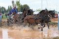 Photo n 29361&#10;Championnat de France 2013 - Lisieux&#10;Thibault COUDRY
Photo Nadine TOUDIC&#10;Affiche 35 fois&#10;Ajoute le 19/10/2013 12:14:51 par Nadinetoudic&#10;&#10;--> Cliquer pour agrandir <--