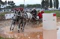 Photo n 29362&#10;Championnat de France 2013 - Lisieux&#10;Sbastien MOURIER
Photo Nadine TOUDIC&#10;Affiche 38 fois&#10;Ajoute le 19/10/2013 12:14:51 par Nadinetoudic&#10;&#10;--> Cliquer pour agrandir <--