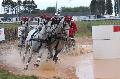 Photo n 29363&#10;Championnat de France 2013 - Lisieux&#10;Sbastien MOURIER
Photo Nadine TOUDIC&#10;Affiche 72 fois&#10;Ajoute le 19/10/2013 12:14:51 par Nadinetoudic&#10;&#10;--> Cliquer pour agrandir <--