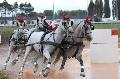 Photo n 29364&#10;Championnat de France 2013 - Lisieux&#10;Sbastien MOURIER
Photo Nadine TOUDIC&#10;Affiche 49 fois&#10;Ajoute le 19/10/2013 12:14:51 par Nadinetoudic&#10;&#10;--> Cliquer pour agrandir <--