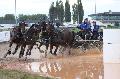 Photo n 29368&#10;Championnat de France 2013 - Lisieux&#10;Thibault COUDRY
Photo Nadine TOUDIC&#10;Affiche 27 fois&#10;Ajoute le 19/10/2013 12:14:52 par Nadinetoudic&#10;&#10;--> Cliquer pour agrandir <--