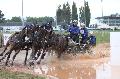 Photo n° 29369
Championnat de France 2013 - Lisieux
Thibault COUDRY
Photo Nadine TOUDIC
Affichée 41 fois
Ajoutée le 19/10/2013 12:14:52 par Nadinetoudic

--> Cliquer pour agrandir <--