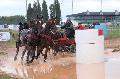 Photo n 29371&#10;Championnat de France 2013 - Lisieux&#10;Jean-Pierre BARRE
Photo Nadine TOUDIC&#10;Affiche 37 fois&#10;Ajoute le 19/10/2013 12:52:24 par Nadinetoudic&#10;&#10;--> Cliquer pour agrandir <--