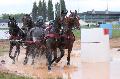 Photo n 29372&#10;Championnat de France 2013 - Lisieux&#10;Jean-Pierre BARRE
Photo Nadine TOUDIC&#10;Affiche 30 fois&#10;Ajoute le 19/10/2013 12:52:24 par Nadinetoudic&#10;&#10;--> Cliquer pour agrandir <--