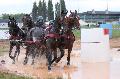 Photo n° 29372
Championnat de France 2013 - Lisieux
Jean-Pierre BARRE
Photo Nadine TOUDIC
Affichée 29 fois
Ajoutée le 19/10/2013 12:52:24 par Nadinetoudic

--> Cliquer pour agrandir <--