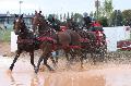 Photo n 29374&#10;Championnat de France 2013 - Lisieux&#10;Jean-Pierre BARRE
Photo Nadine TOUDIC&#10;Affiche 54 fois&#10;Ajoute le 19/10/2013 12:52:25 par Nadinetoudic&#10;&#10;--> Cliquer pour agrandir <--