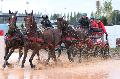 Photo n 29375&#10;Championnat de France 2013 - Lisieux&#10;Jean-Pierre BARRE
Photo Nadine TOUDIC&#10;Affiche 153 fois&#10;Ajoute le 19/10/2013 12:52:25 par Nadinetoudic&#10;&#10;--> Cliquer pour agrandir <--