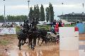 Photo n 29377&#10;Championnat de France 2013 - Lisieux&#10;Frdric BOUSQUET
Photo Nadine TOUDIC&#10;Affiche 21 fois&#10;Ajoute le 19/10/2013 12:52:25 par Nadinetoudic&#10;&#10;--> Cliquer pour agrandir <--