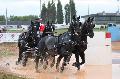 Photo n 29380&#10;Championnat de France 2013 - Lisieux&#10;Frdric BOUSQUET
Photo Nadine TOUDIC&#10;Affiche 36 fois&#10;Ajoute le 19/10/2013 12:52:25 par Nadinetoudic&#10;&#10;--> Cliquer pour agrandir <--
