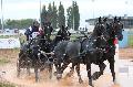 Photo n 29381&#10;Championnat de France 2013 - Lisieux&#10;Frdric BOUSQUET
Photo Nadine TOUDIC&#10;Affiche 46 fois&#10;Ajoute le 19/10/2013 12:52:25 par Nadinetoudic&#10;&#10;--> Cliquer pour agrandir <--