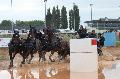 Photo n 29383&#10;Championnat de France 2013 - Lisieux&#10;Sbastien VINCENT
Photo Nadine TOUDIC&#10;Affiche 33 fois&#10;Ajoute le 19/10/2013 12:57:46 par Nadinetoudic&#10;&#10;--> Cliquer pour agrandir <--