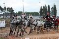 Photo n 29391&#10;Championnat de France 2013 - Lisieux&#10;Grard DUPONT
Photo Nadine TOUDIC&#10;Affiche 43 fois&#10;Ajoute le 19/10/2013 12:57:46 par Nadinetoudic&#10;&#10;--> Cliquer pour agrandir <--